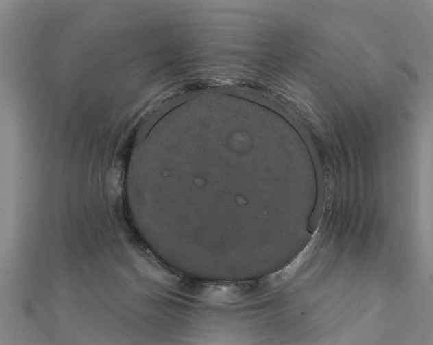 X0000111520174200908041251