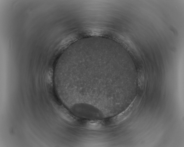 X0000111520175200908041251