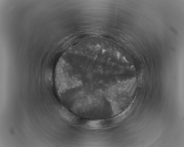 X0000111520178200908041251