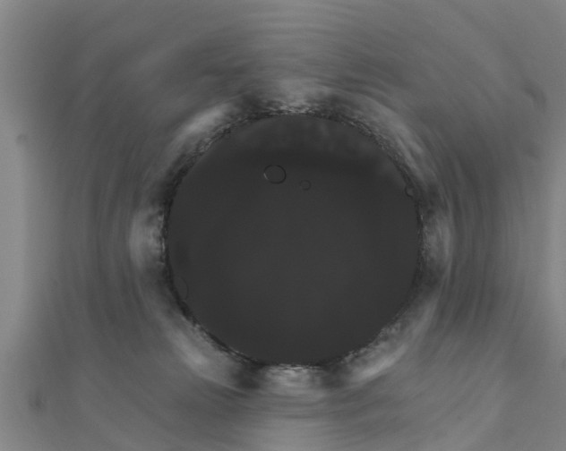 X0000111520181200908041251