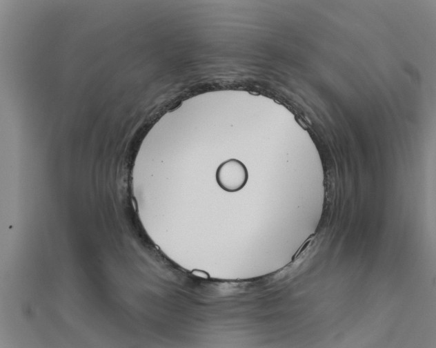 X0000111520184200908041251