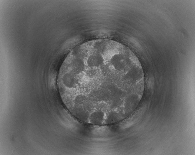X0000111520185200908041251