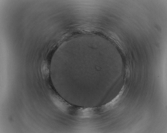 X0000111520186200908041251