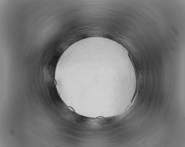 X0000111520190200908041251