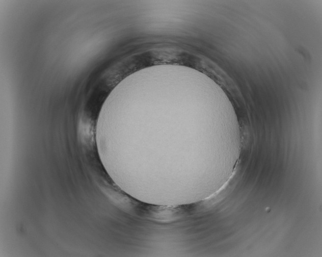 X0000111520191200908041251