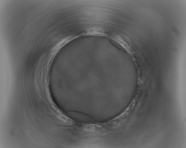 X0000111520193200908041251