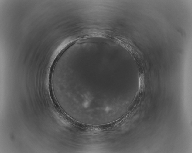X0000111520195200908041251