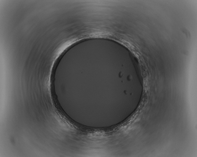 X0000111520196200908041251