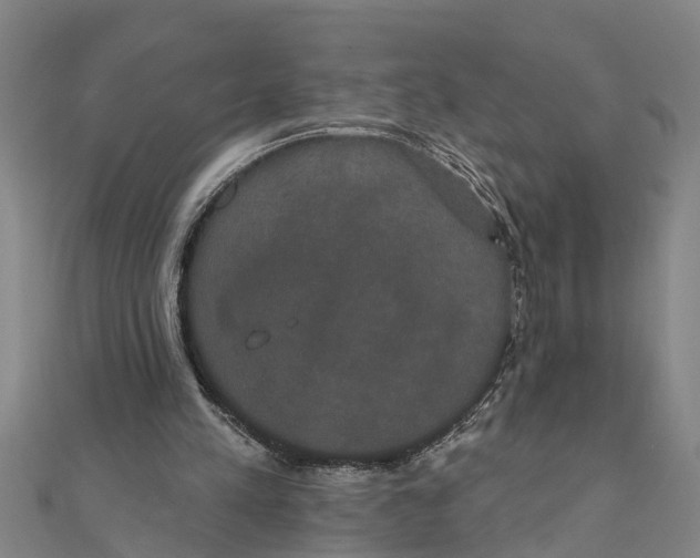 X0000111520197200908041251