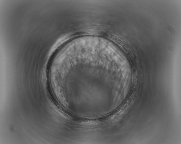 X0000111520198200908041251