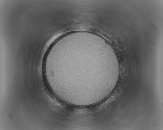X0000111520200200908041251