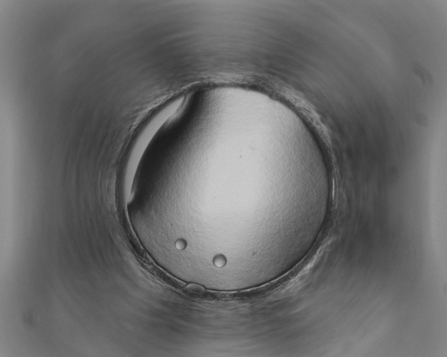 X0000111520201200908041251