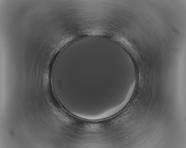 X0000111520202200908041251
