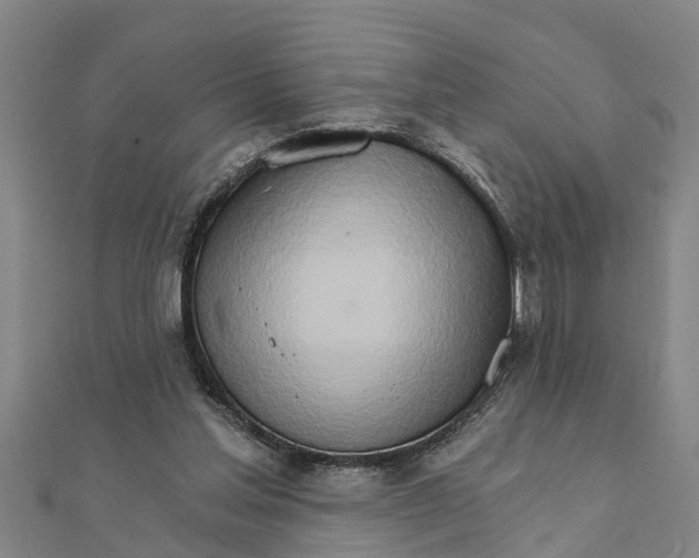 X0000111520205200908041251