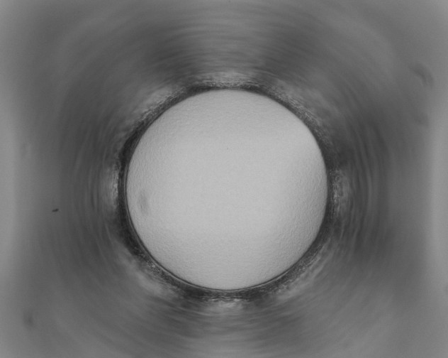 X0000111520206200908041251