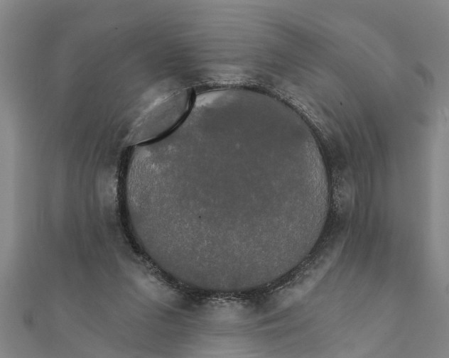 X0000111520207200908041251