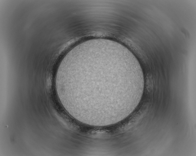 X0000111520208200908041251