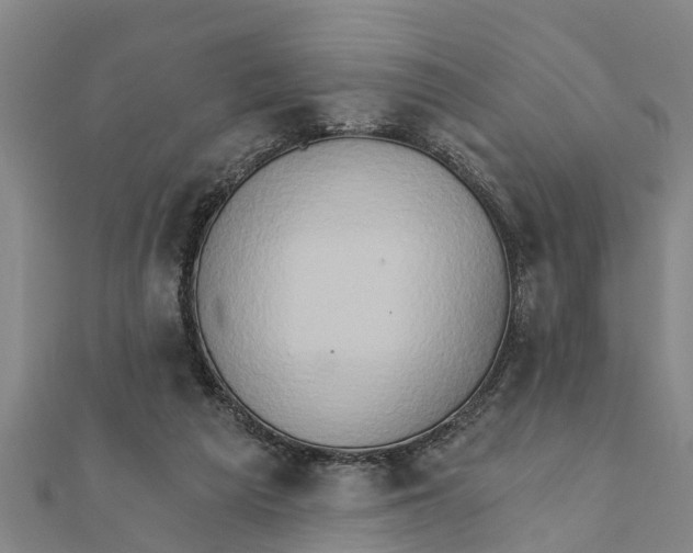 X0000111520209200908041251