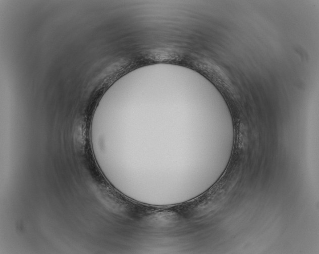 X0000111520210200908041251