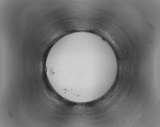 X0000111520211200908041251