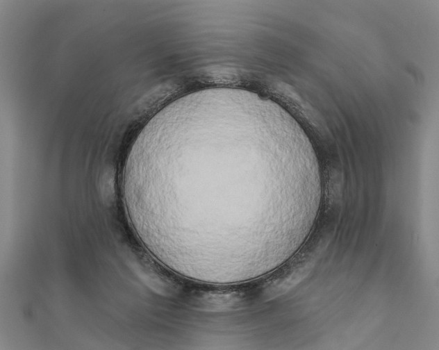 X0000111520213200908041251