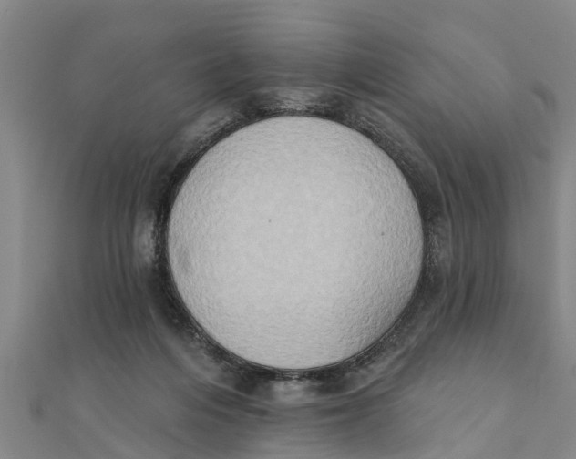 X0000111520216200908041251