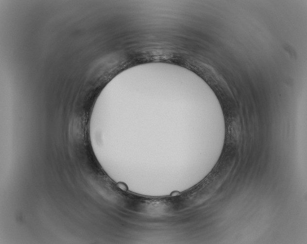 X0000111520218200908041251