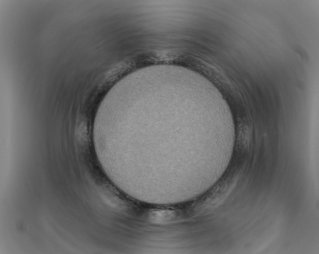 X0000111520220200908041251