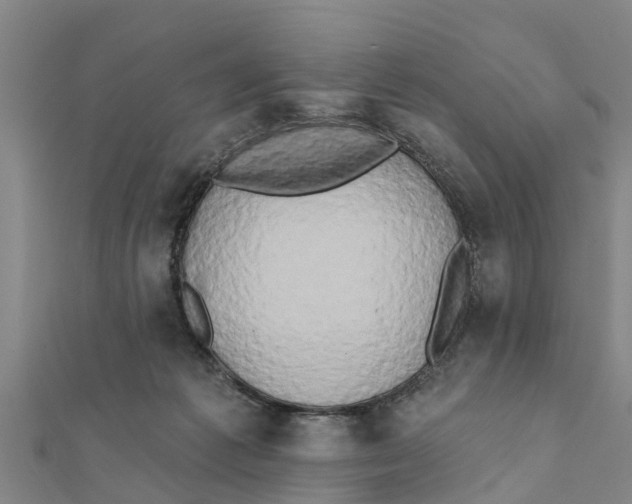 X0000111520221200908041251