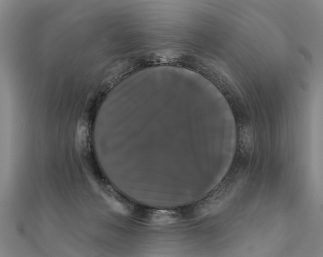 X0000111520222200908041251