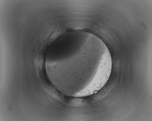 X0000111520227200908041250