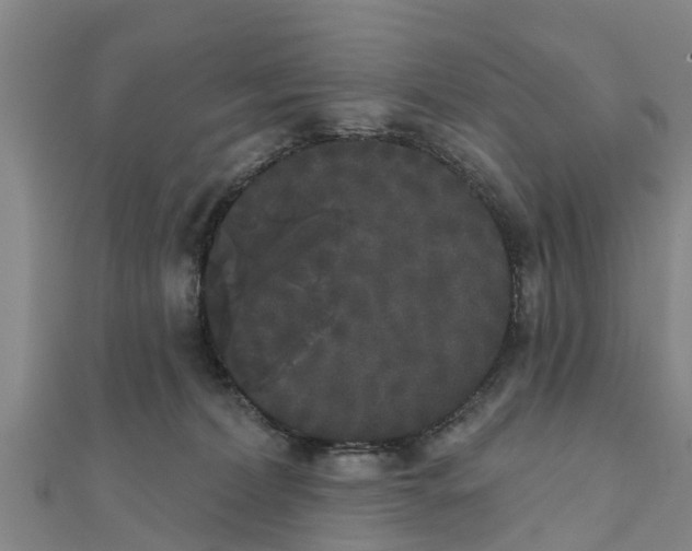 X0000111520228200908041250