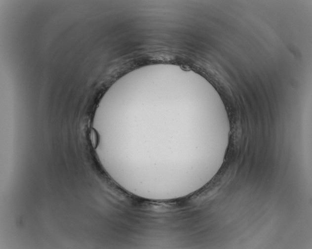 X0000111520229200908041250