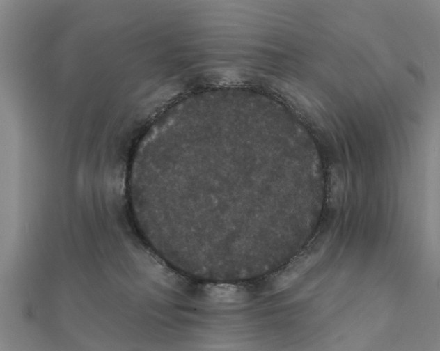 X0000111520230200908041250