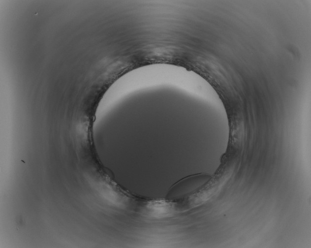 X0000111520231200908041250
