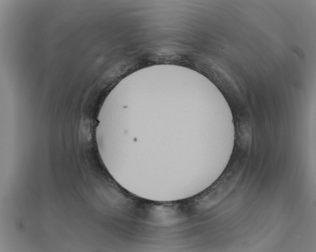 X0000111520232200908041250