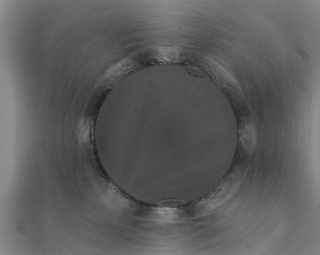 X0000111520233200908041250