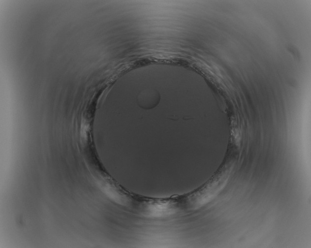 X0000111520235200908041250