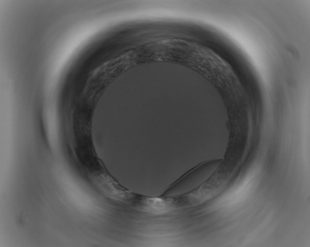 X0000111520239200908041250