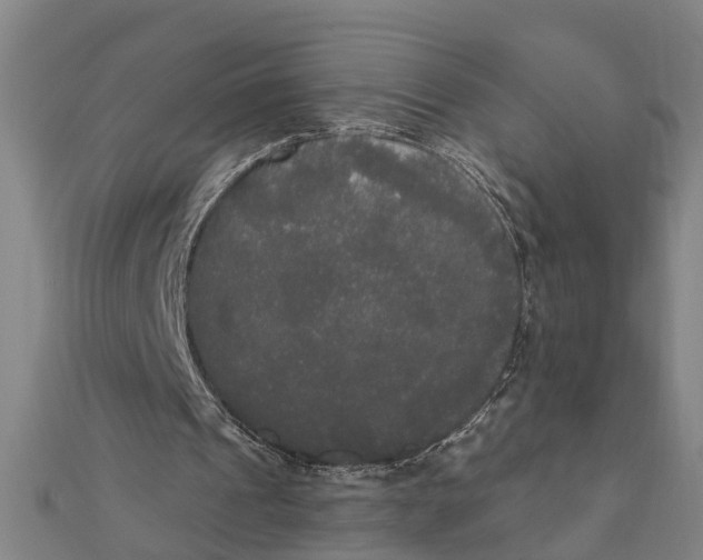 X0000111520241200908041250