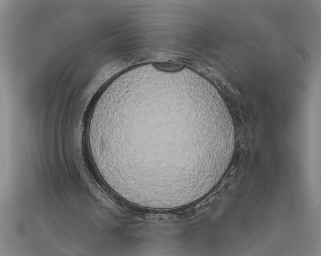 X0000111520242200908041250