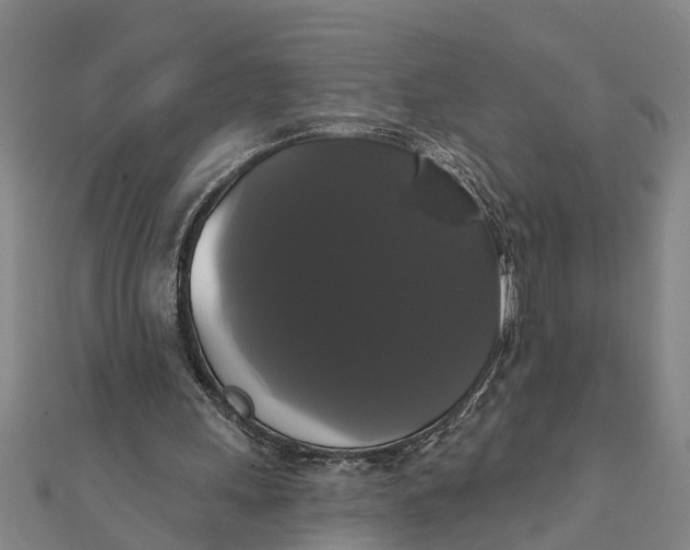 X0000111520243200908041250