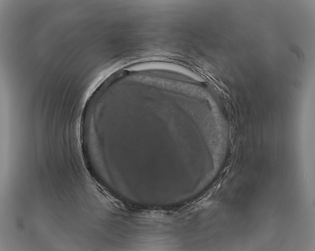 X0000111520244200908041250