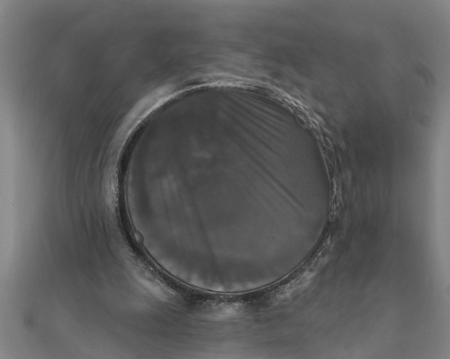 X0000111520247200908041250