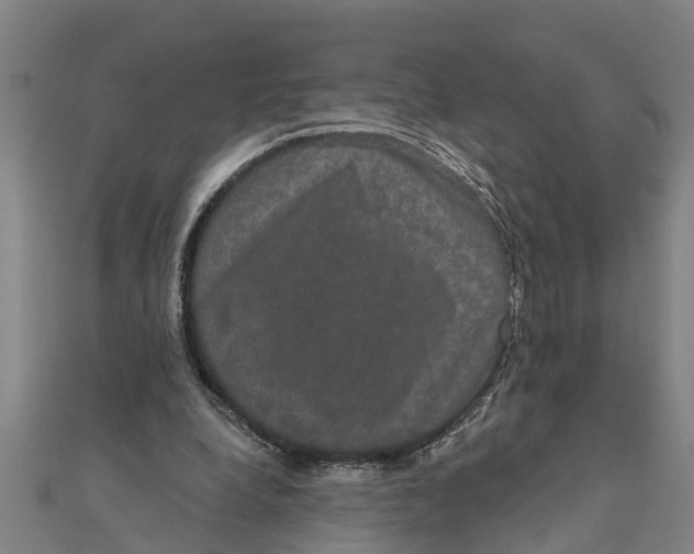 X0000111520248200908041250