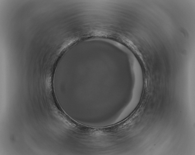 X0000111520249200908041250