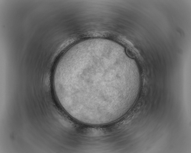X0000111520250200908041250