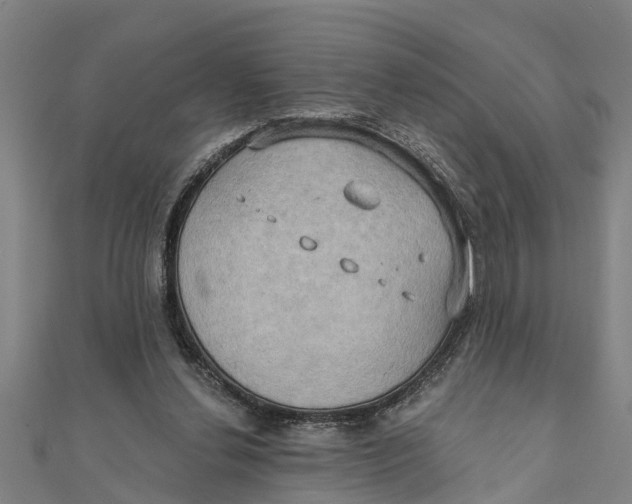 X0000111520252200908041250