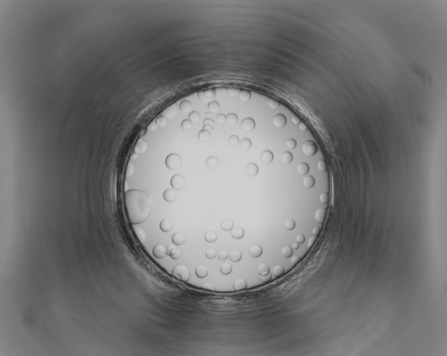 X0000111520253200908041250