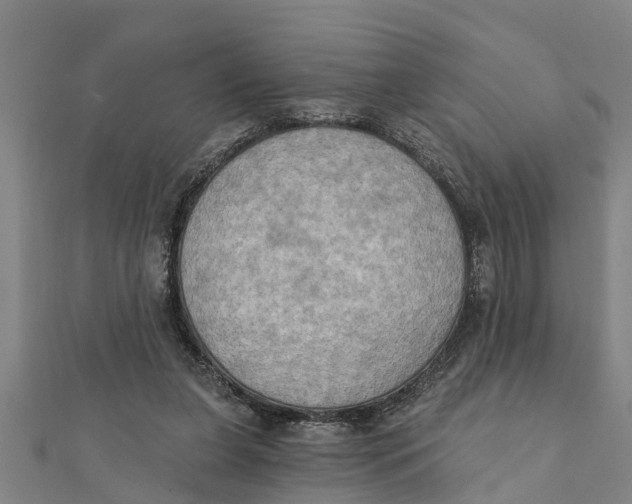 X0000111520255200908041250